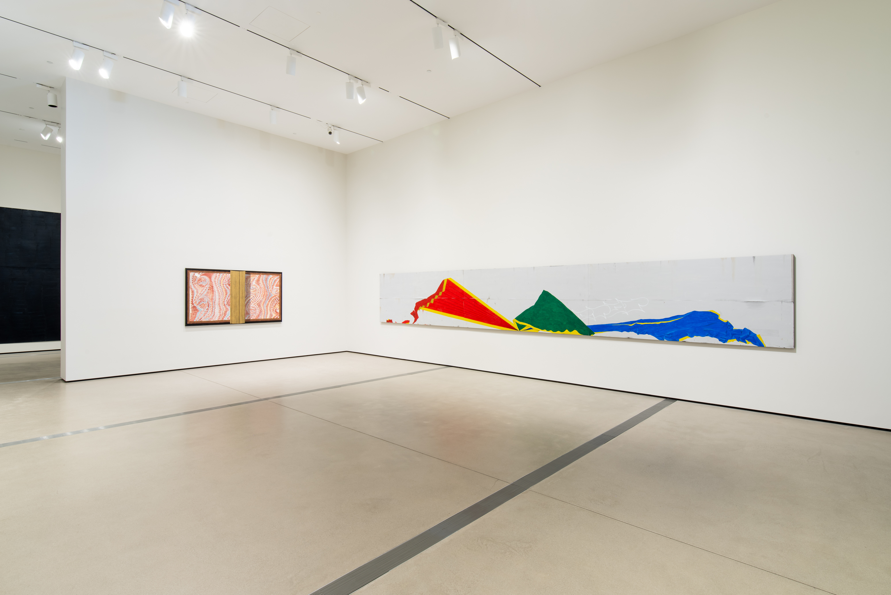 Installation view courtesy of the Broad